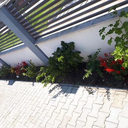 Apartament Saguna Sinnicolau Mare Exterior photo